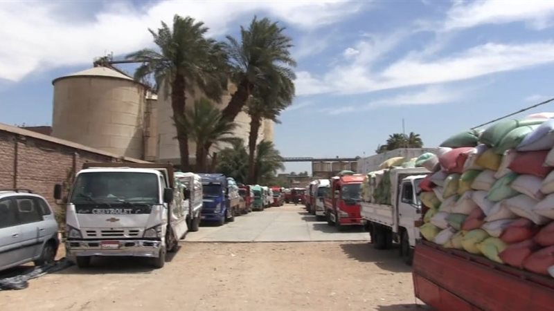 توريد القمح بسوهاج