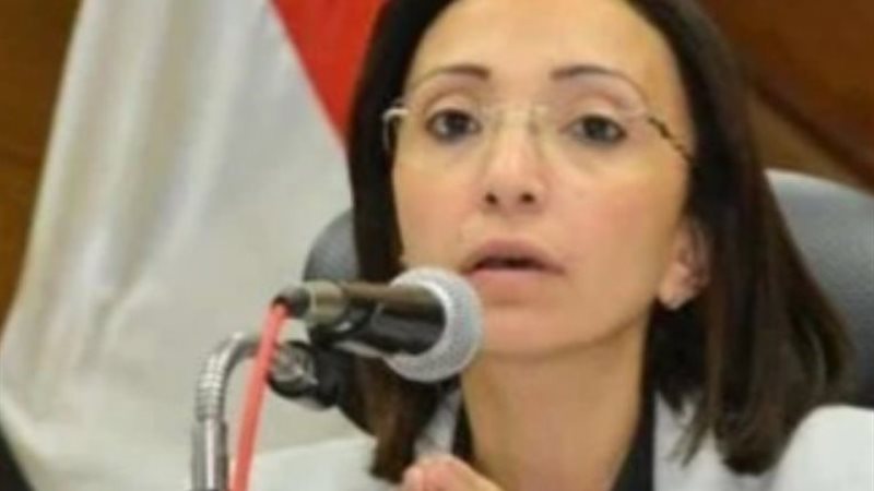 محافظ البحيرة