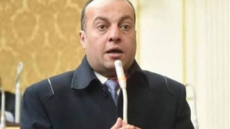 النائب خالد عبد المولي،