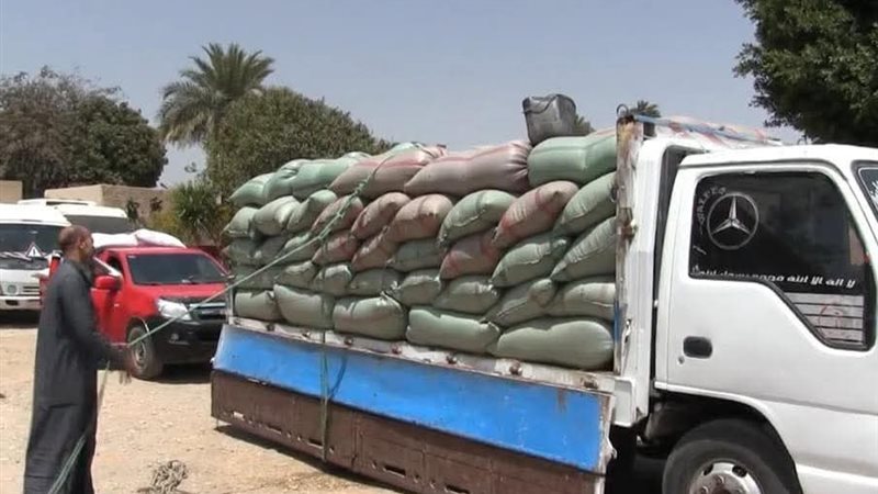 توريد القمح بسوهاج