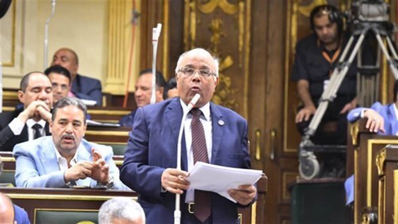 النائب عطية الفيومي
