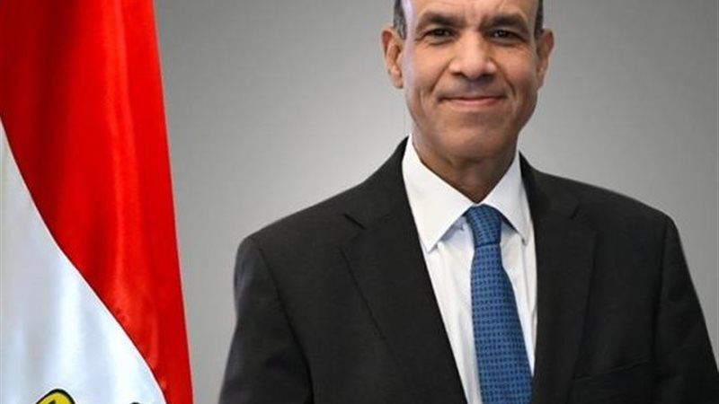 بدر عبد العاطي وزير