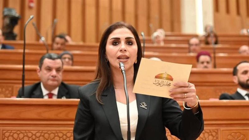 النائبة انجي مراد،