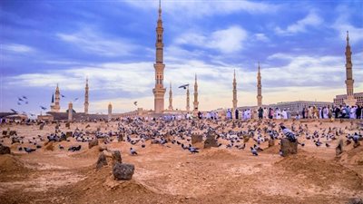 الإفتاء تحسم الجدل: زيارة مقابر البقيع بعد الحج مستحبة لما تحمله من فضل ومكانة روحانية