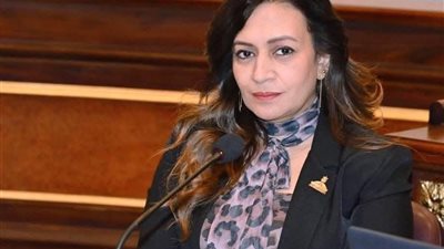 الشيوخ يوافق على مقترحي نفين فارس بشأن حافز المعلمين وتطوير الصورة الذهنية للتعليم الفني