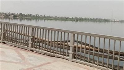 رمت عيالها في النيل.. حبس مشرفة تمريض دندرة 4 أيام على ذمة التحقيقات 
