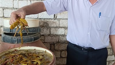 ضبط مصنع مخللات بدون ترخيص والتحفظ على 5 أطنان بالشرقية 