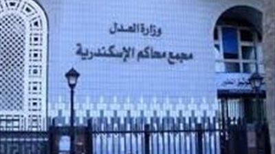 إحالة أوراق عامل خردة إلى المفتي لاتهامه بقتل سائق توك توك بالإسكندرية