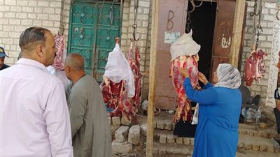 ضبط طن لحوم ومنتجات غذائية فاسدة خلال حملات رقابية بالمنيا 