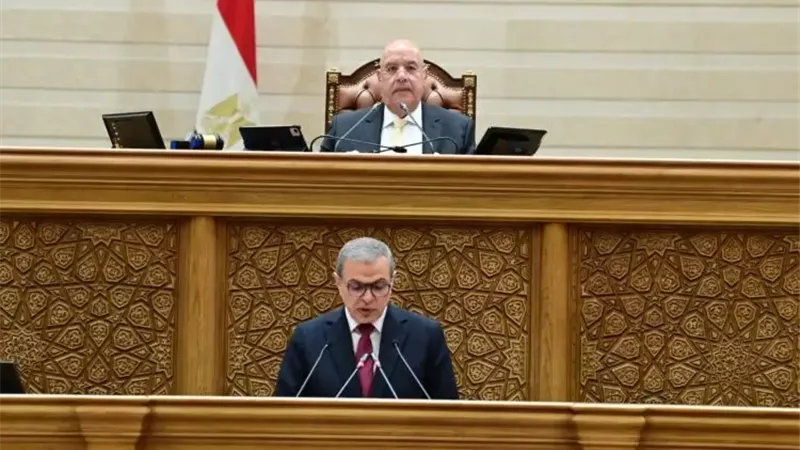 جانب من الجلسة