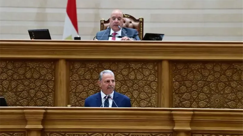 جانب من الجلسة 