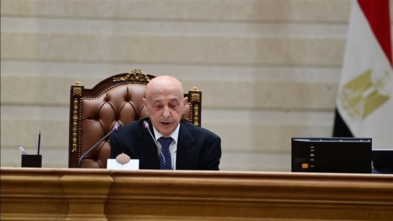 المستشار عقيلة صالح