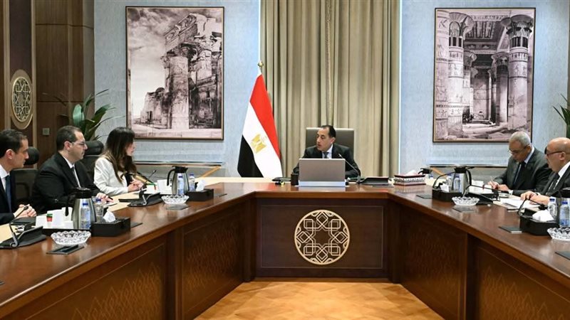 مصطفى مدبولي ووزير