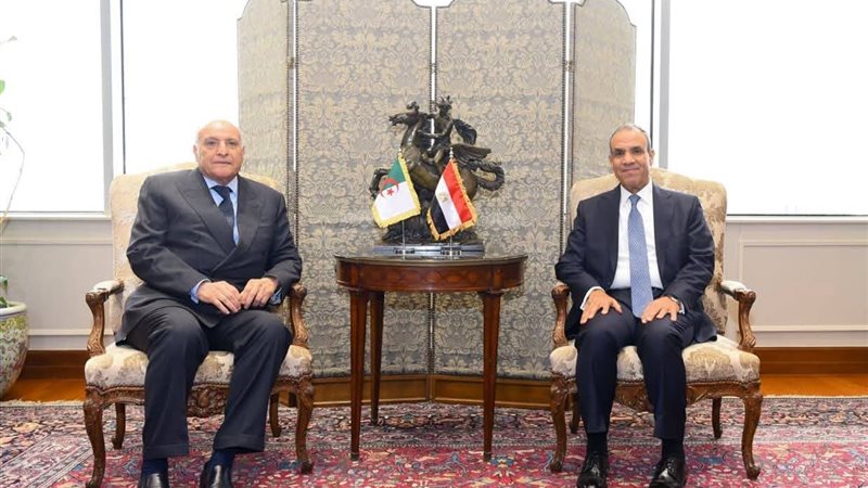 وزير الخارجية ونظيره الجزائري 