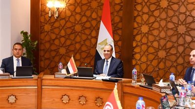 وزراء خارجية مصر والجزائر وتونس يبحثون جهود دعم ليبيا مع المبعوثة الخاصة للأمم المتحدة