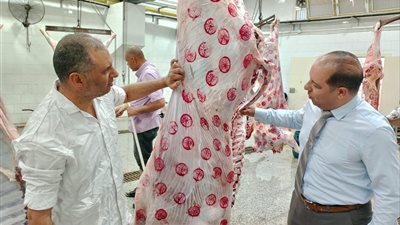 محافظ الدقهلية: جاهزية كاملة للمجازر واستقبال عيد الأضحى في جميع المدن