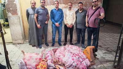 قبل ما توصل لمحلات الجزارة.. سقوط سيارة محملة بـ343 كيلو لحوم مريضة بسوهاج