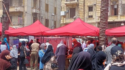 الإسكندرية توسّع أسواق اليوم الواحد استعدادًا لعيد الأضحى المبارك