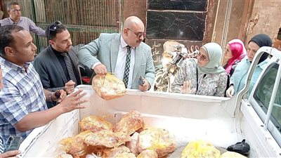 ضبط 204 مخالفات تموينية متنوعة وغلق 13 محلًا تجاريًا بالمنيا 