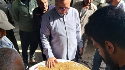توريد 262 ألف طن قمح لمواقع التخزين والصوامع في الدقهلية 