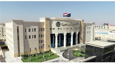 أم مصابة وجثث 3 أطفال وسم فئران.. ماذا يحدث في بولاق الدكرور؟ 