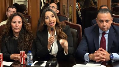 ملفات تشريعية.. تفاصيل الحوار سياسي بين الوفد وتنسيقية شباب الأحزاب 
