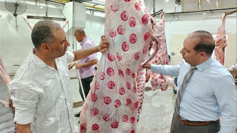 تجهيز المجازر بالدقهلية