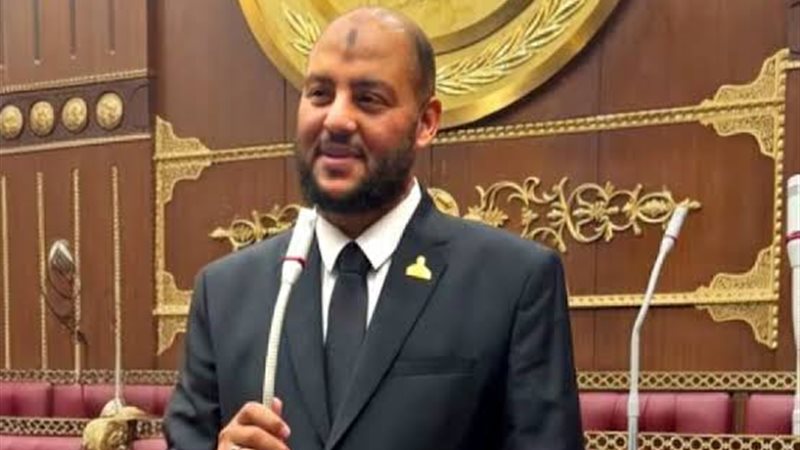 النائب زين العابدين