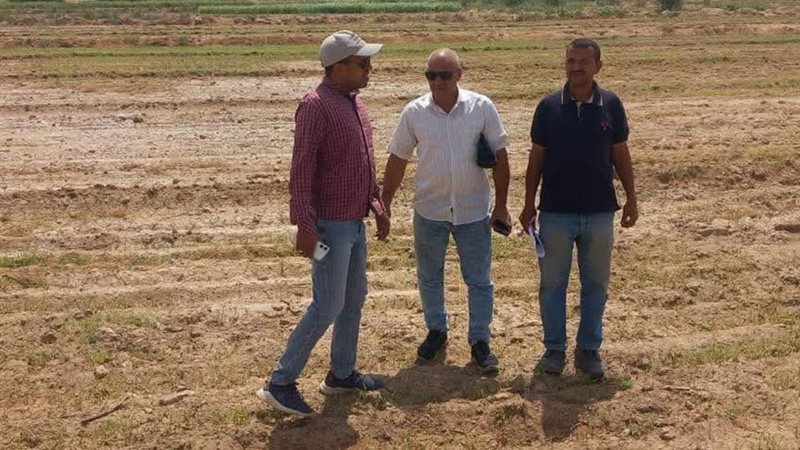 لجنة المعاينة