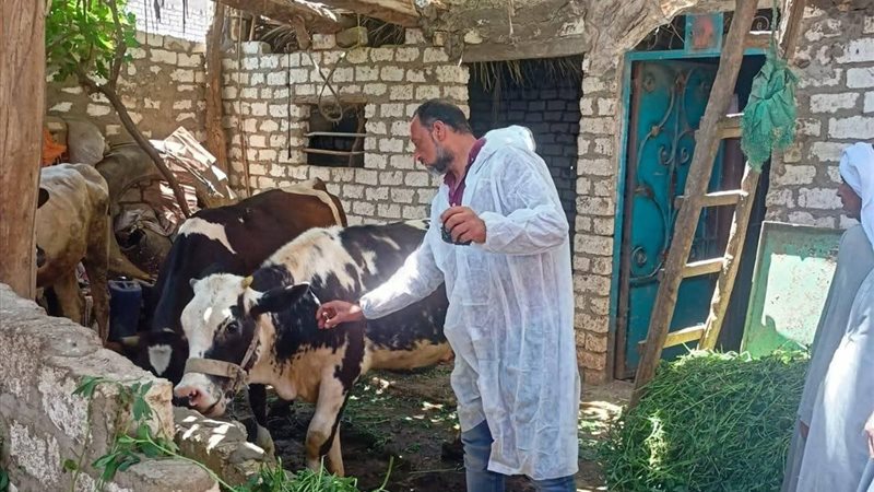 بيطري المنيا 