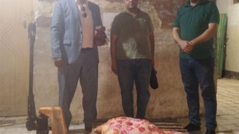 المضبوطات