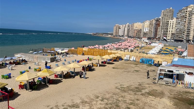 الاسكندريه 