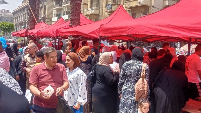 الاسكندريه 