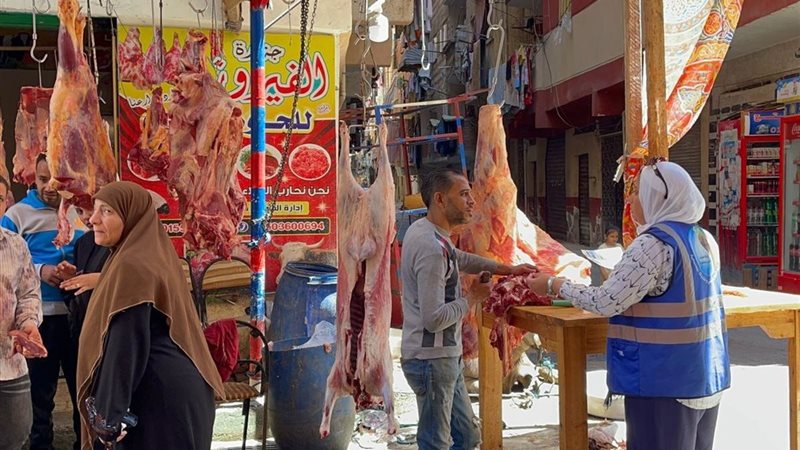 الاسكندريه 