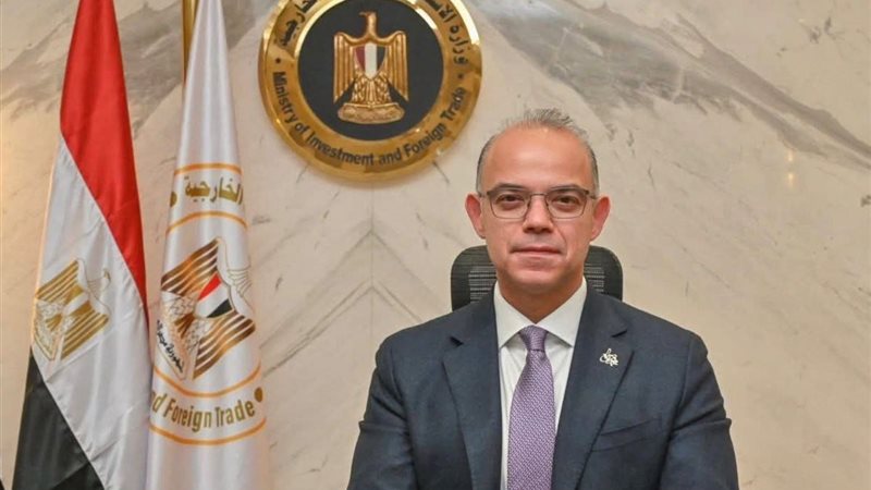 الدكتور محمد فريد وزير الاستثمار