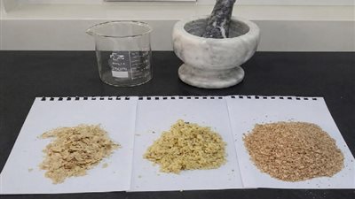 طالبات جامعة الزقازيق يطورن مشروع تحويل مخلفات الصناعات الغذائية لمكمل بروتيني نباتي 