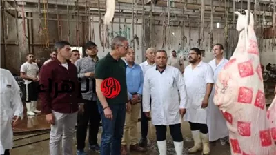 «الزراعة» تذبح 11.719 أضحية بالمجازر الحكومية مجانًا في ثاني أيام عيد الأضحى