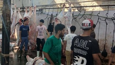 محافظ الجيزة: ذبـح 4300 أضحية داخل المجازر الحكومية خلال الأيام الثلاثة الأولى لعيد الأضحى