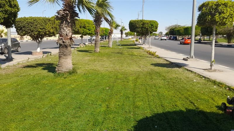 المسطحات الخضراء