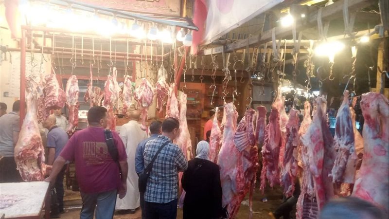 الاسكندريه 