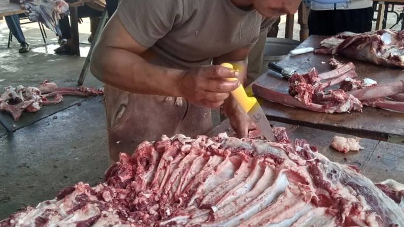 الاسكندريه 