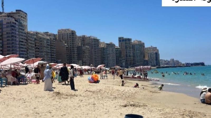 الاسكندريه 