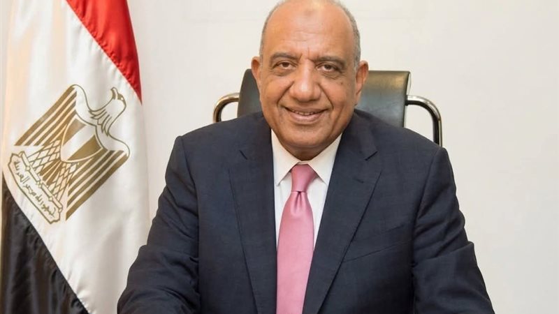 الدكتور محمود عصمت، وزير الكهرباء