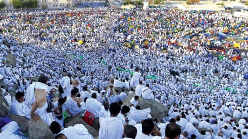 حجاج 