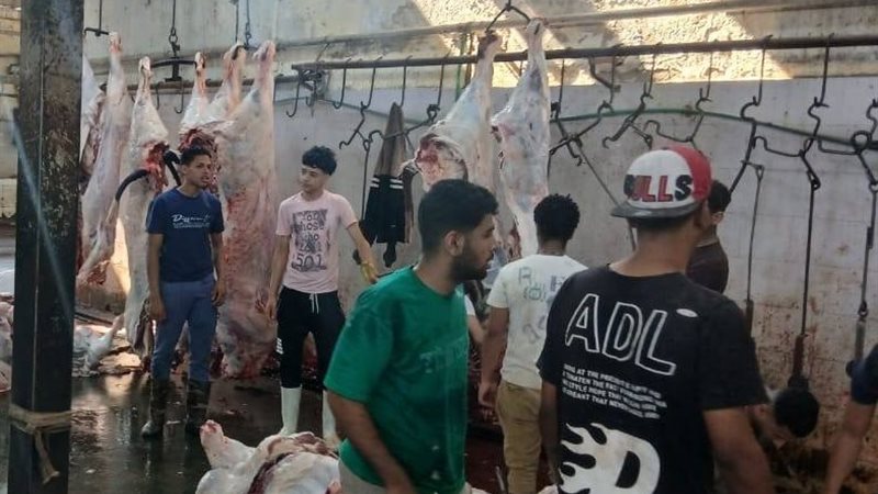  المجازر الحكومية