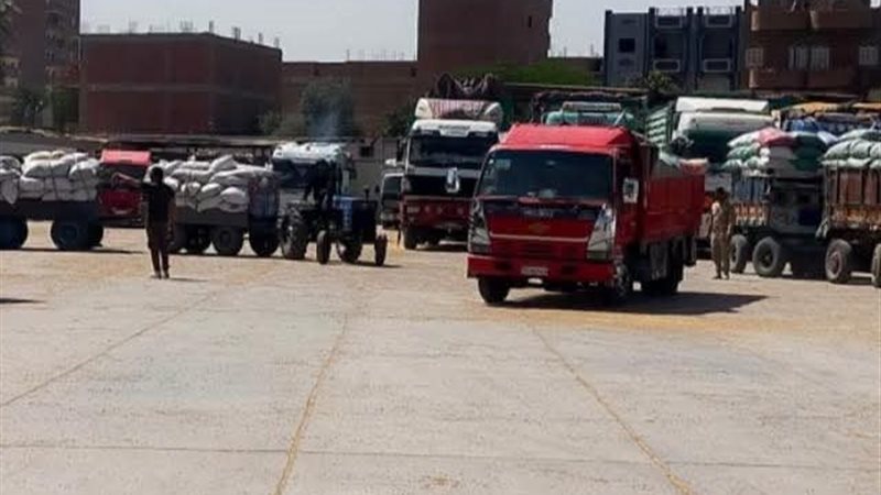 توريد القمح بسوهاج