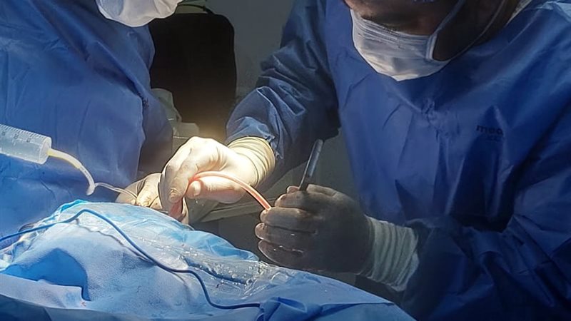 جراحة المخ والأعصاب