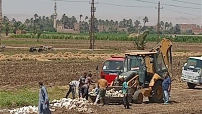 إحباط تقسيم نصف فدان بالصلعا.. ومحافظ سوهاج يحيل المتعدي للنيابة