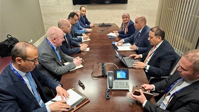تعاون مصري جزائري سوداني في التدريب والسلامة المهنية