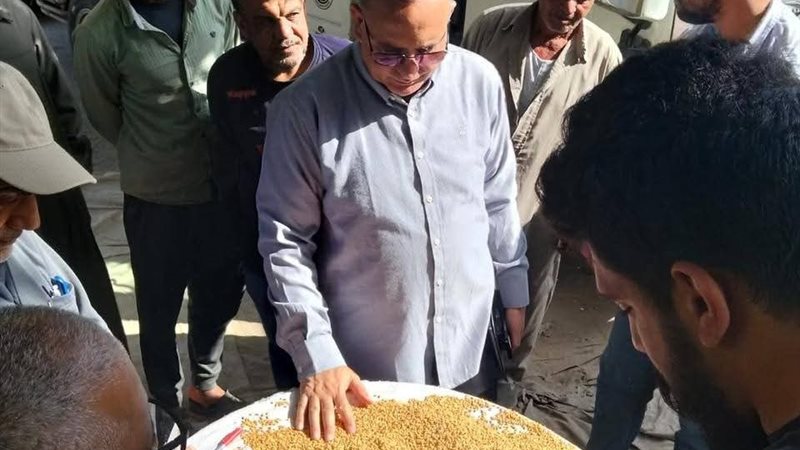 توريد القمح